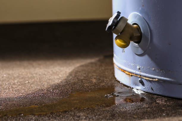 Best Water damage restoration mold remediation  in Deforest, WI
