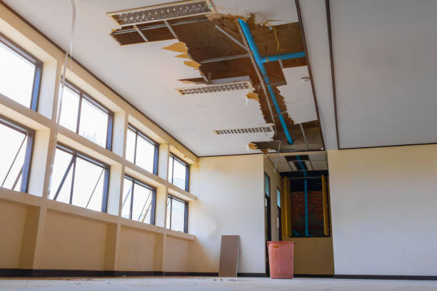 Best Ceiling water damage repair  in Deforest, WI