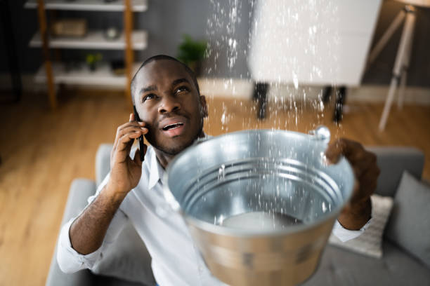 Best Flooded house restoration  in Deforest, WI