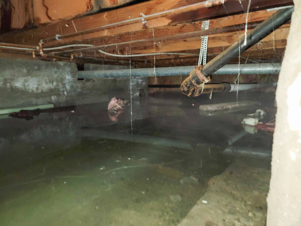 Best Flood damage cleanup  in Deforest, WI