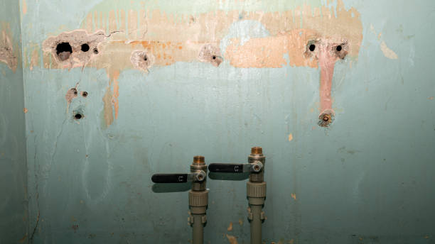 Best Water damage contractors near me  in Deforest, WI