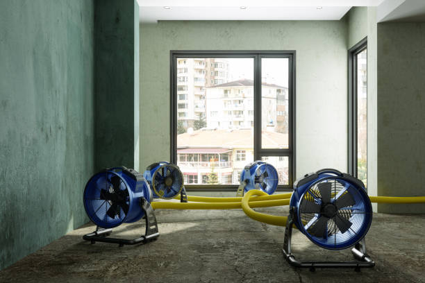 Best Water damage restoration near me  in Deforest, WI